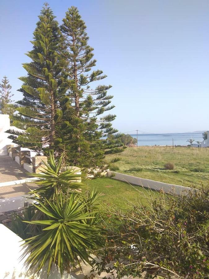 Albatross Holiday Apartments อจิออสซอสติส ภายนอก รูปภาพ